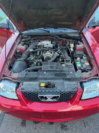 2001 Ford SN95 Mustang - Image 14 of 16