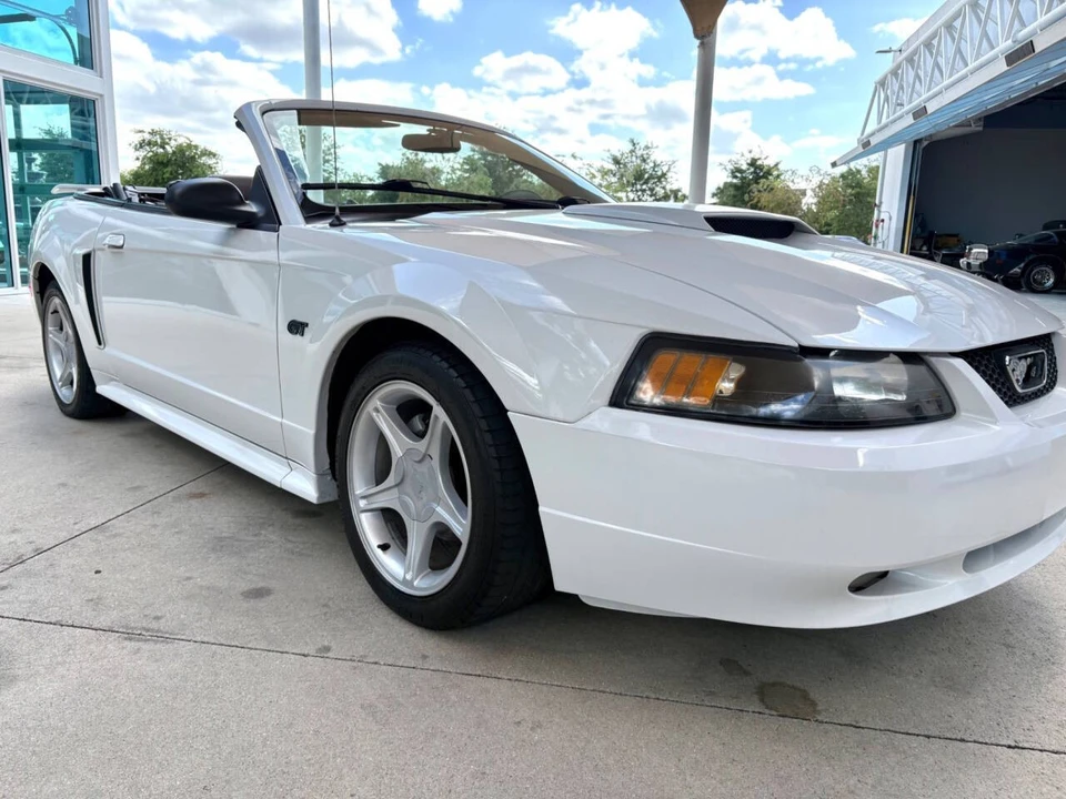 2001 Ford SN95 Mustang - Image 19 of 31