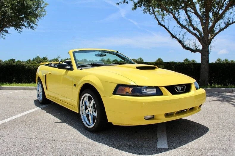 2001 Ford SN95 Mustang - Image 6 of 31
