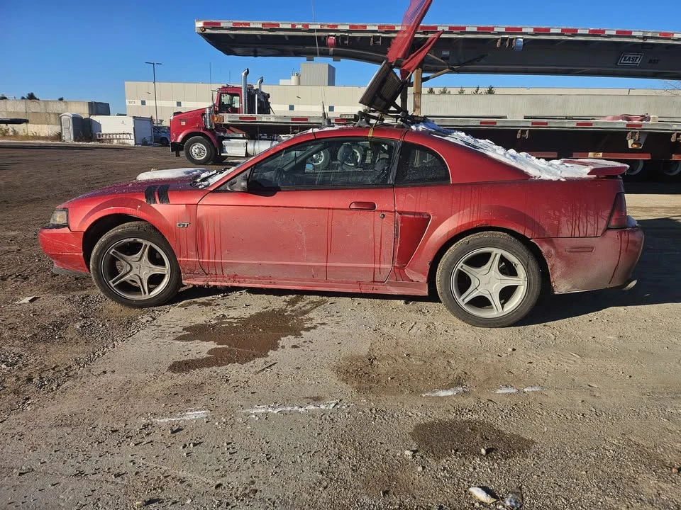 2001 Ford SN95 Mustang - Image 2 of 2