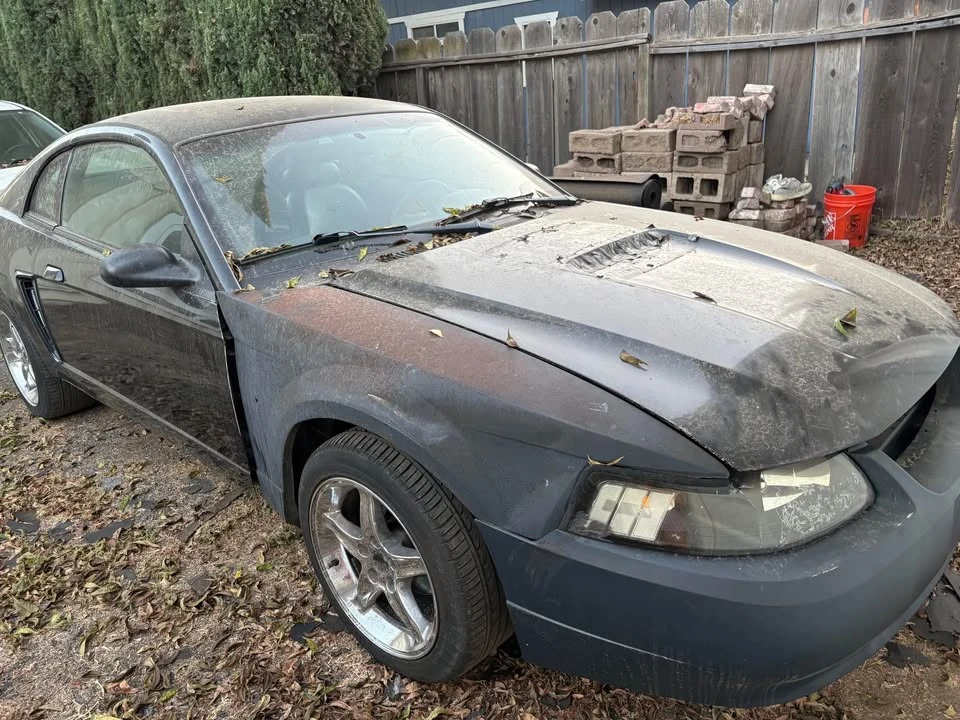 2001 Ford SN95 Mustang - Image 2 of 8