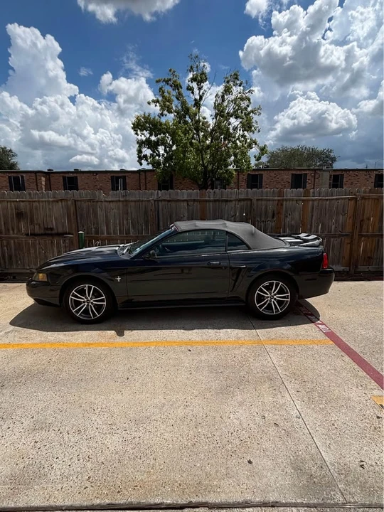 2001 Ford SN95 Mustang - Image 2 of 10
