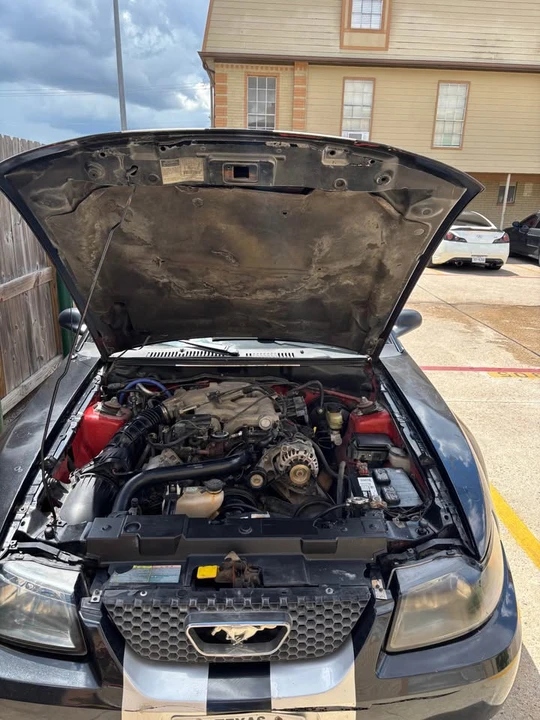 2001 Ford SN95 Mustang - Image 10 of 10