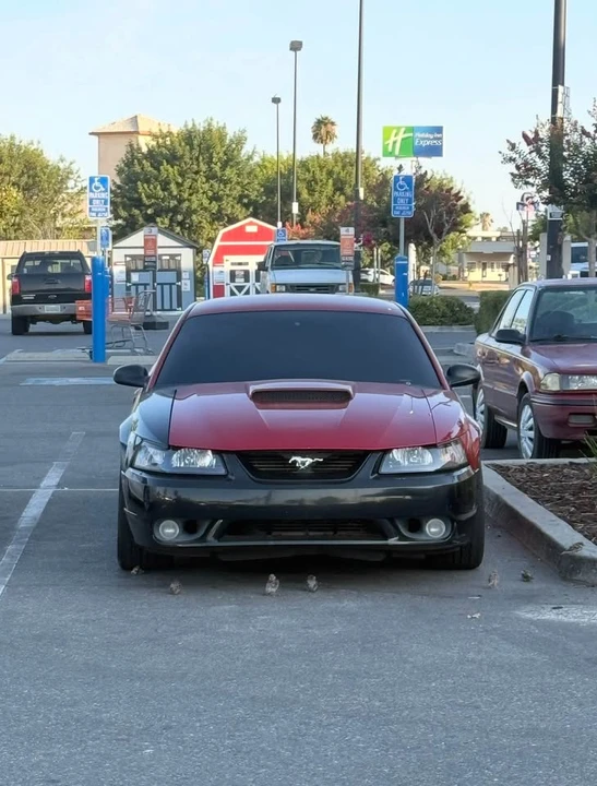 2001 Ford SN95 Mustang - Image 8 of 9