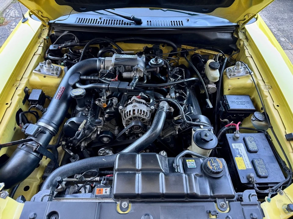 2001 Ford SN95 Mustang - Image 5 of 21