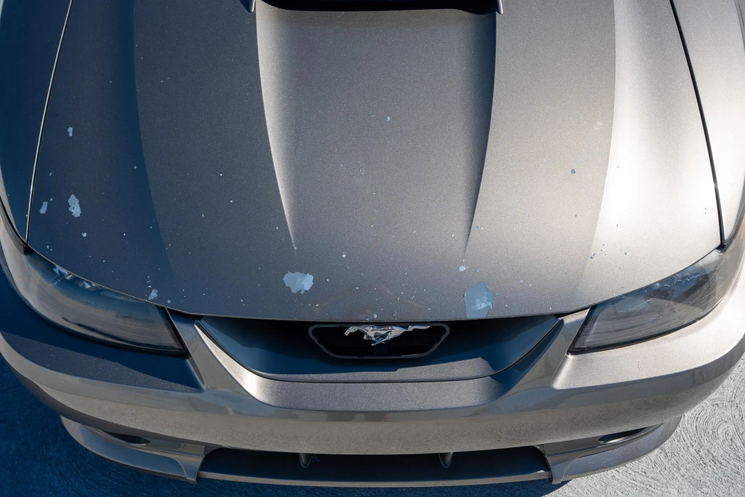 2001 Ford SN95 Mustang - Image 25 of 31