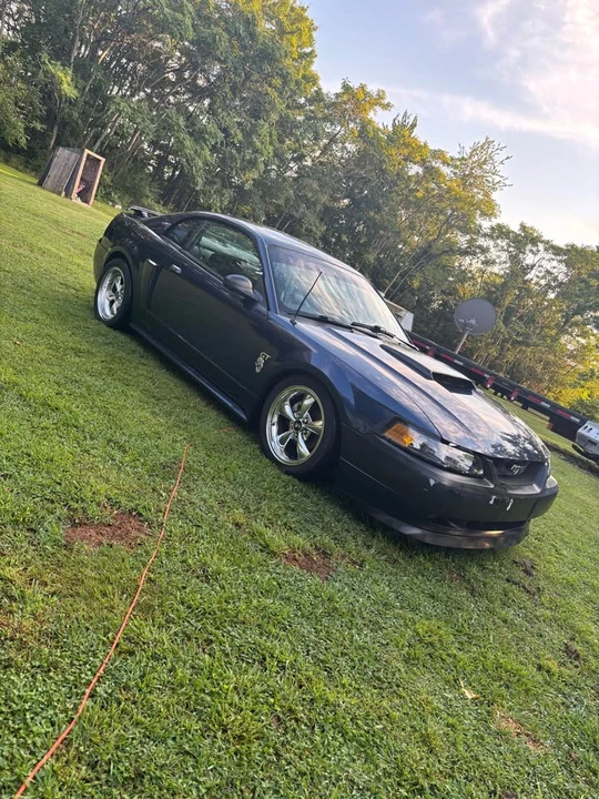 2001 Ford SN95 Mustang - Image 3 of 8