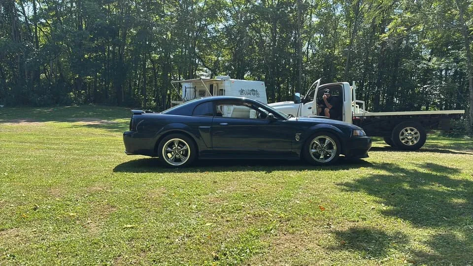 2001 Ford SN95 Mustang - Image 7 of 8