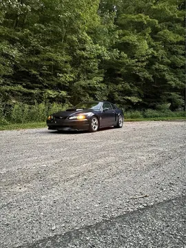 2001 Ford Mustang GT 5 Speed