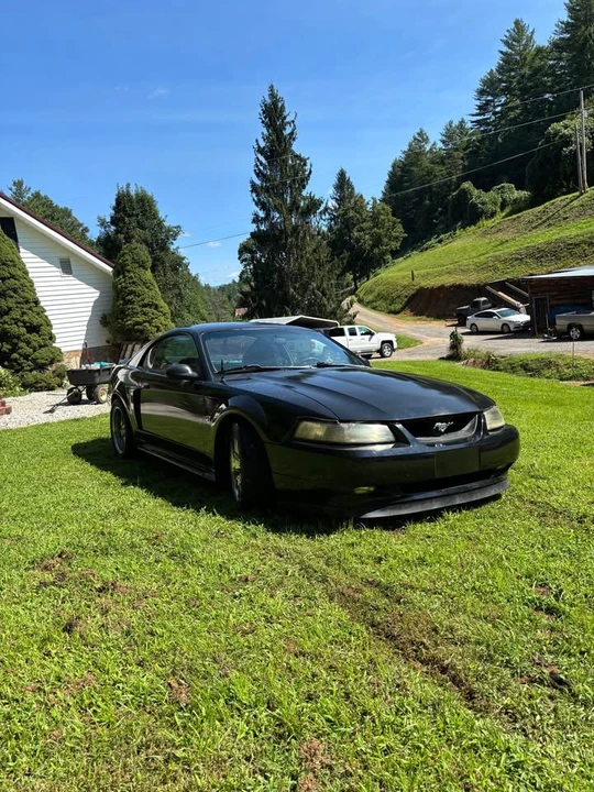 2001 Ford SN95 Mustang - Image 3 of 6