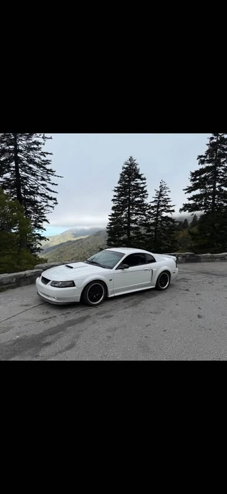 2001 Ford SN95 Mustang - Image 3 of 5