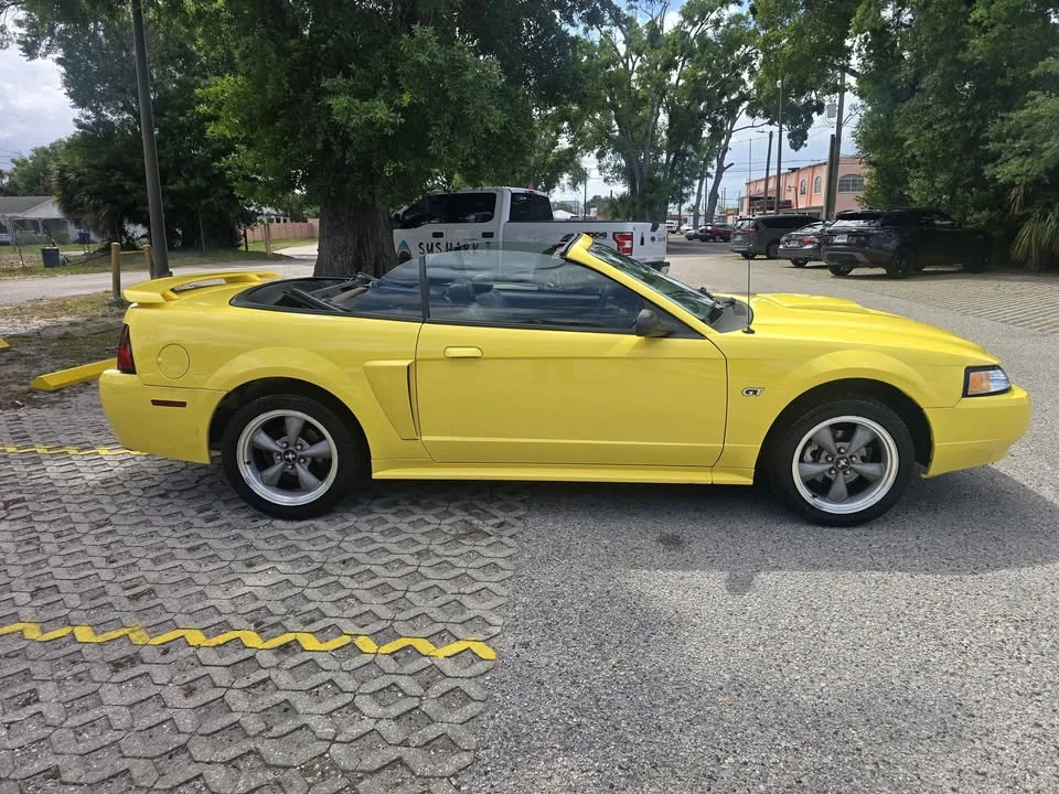 2001 Ford SN95 Mustang - Image 3 of 14