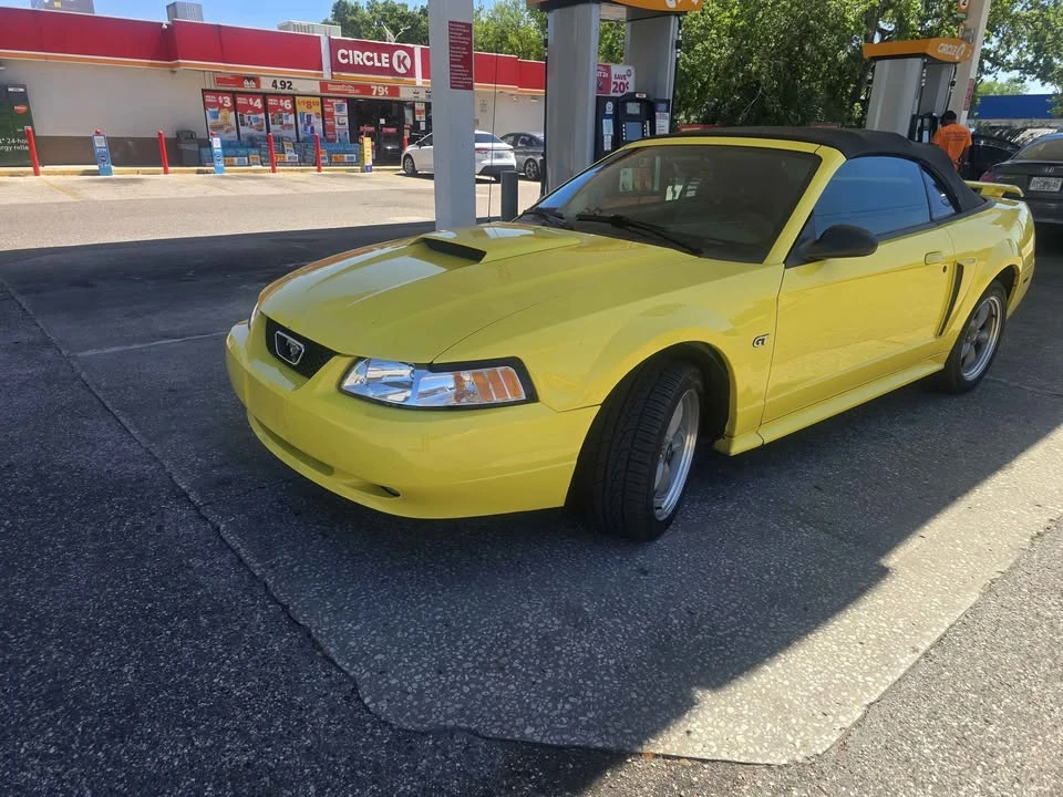 2001 Ford SN95 Mustang - Image 11 of 14