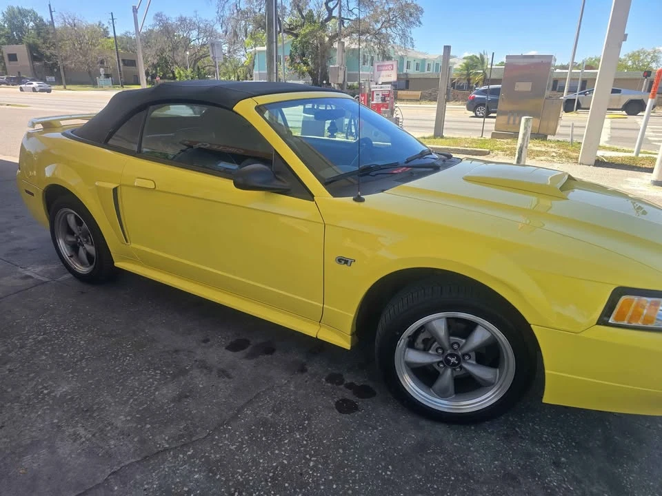 2001 Ford SN95 Mustang - Image 12 of 14