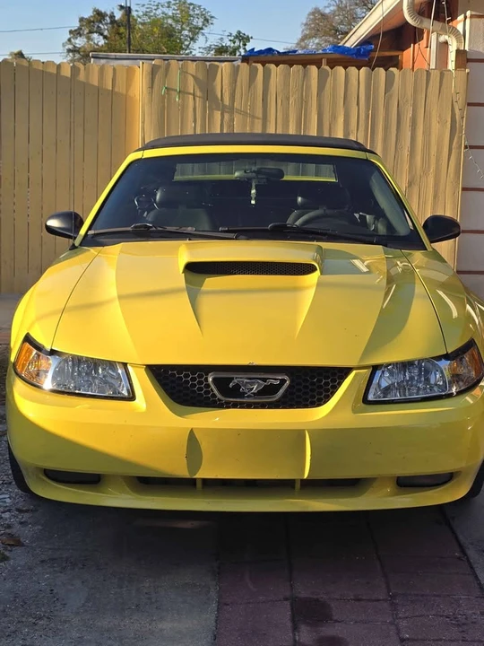 2001 Ford SN95 Mustang - Image 14 of 14