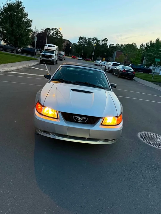 2001 Ford SN95 Mustang - Image 2 of 13