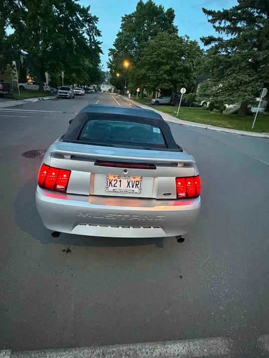 2001 Ford SN95 Mustang - Image 10 of 13
