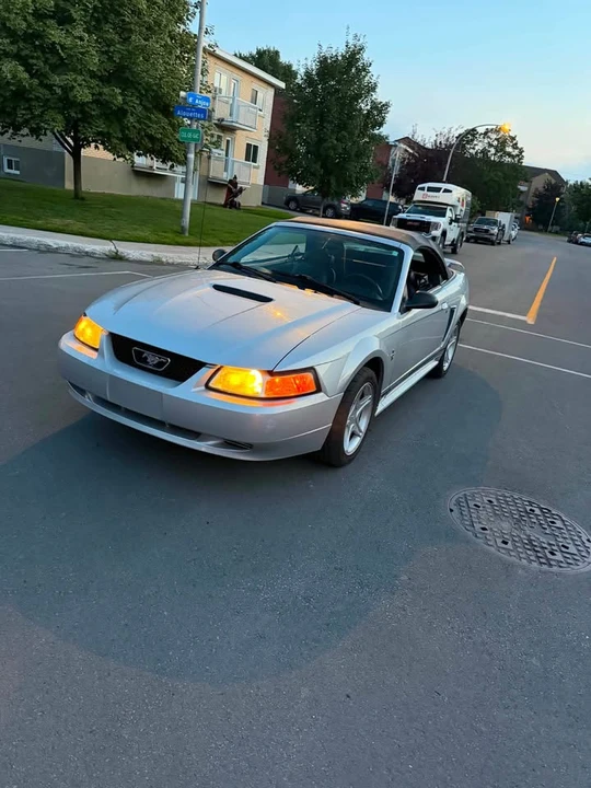 2001 Ford SN95 Mustang - Image 4 of 13