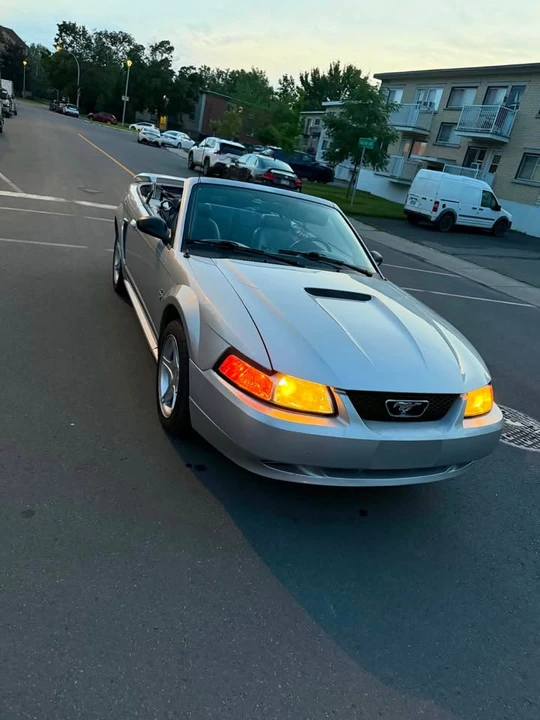 2001 Ford SN95 Mustang - Image 12 of 13