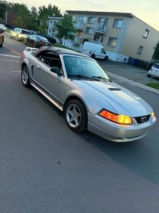 2001 Ford SN95 Mustang - Image 13 of 13