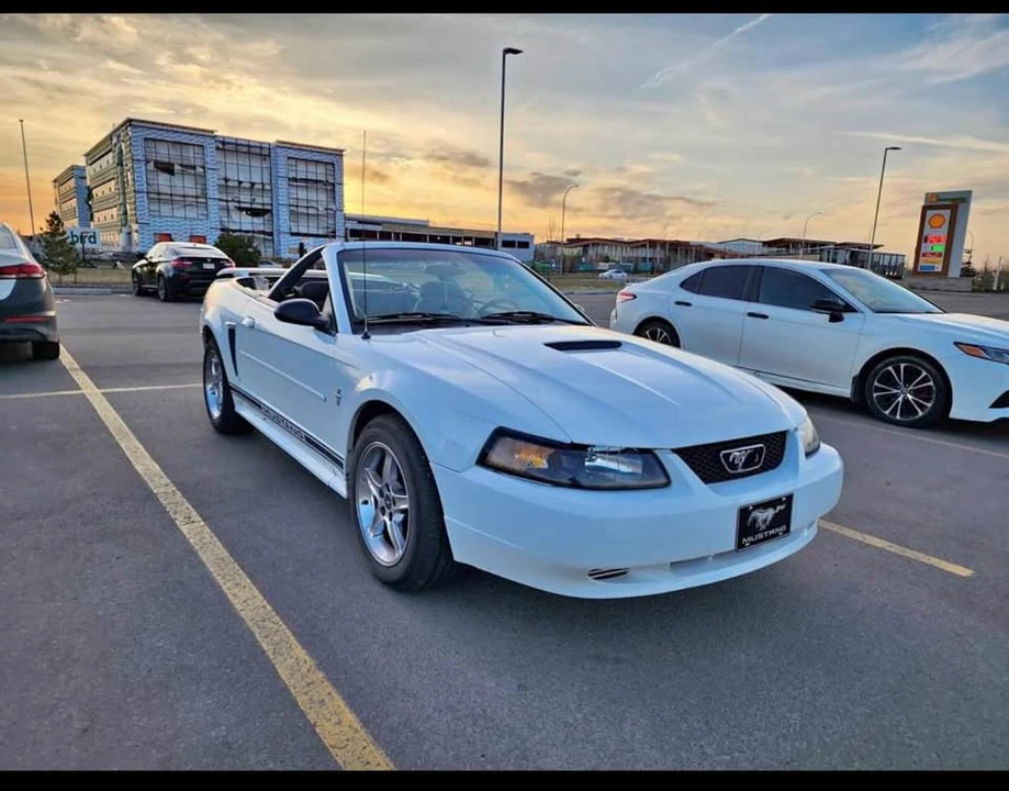 2001 Ford SN95 Mustang - Image 5 of 6