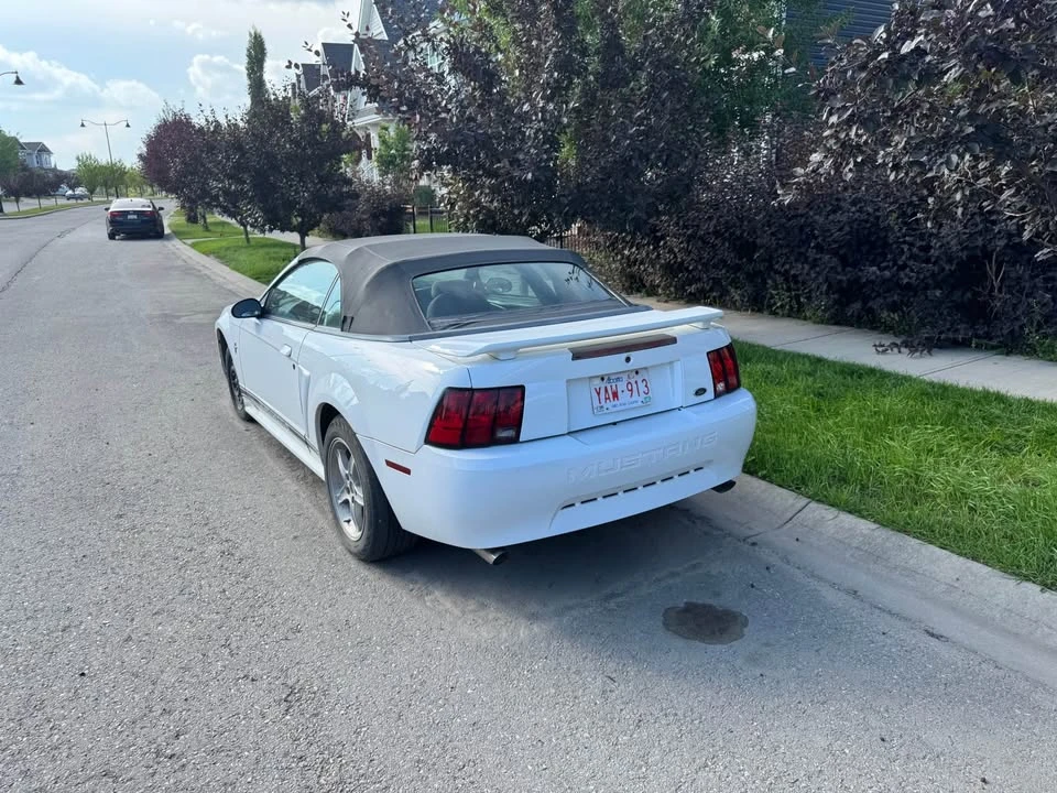 2001 Ford SN95 Mustang - Image 3 of 6