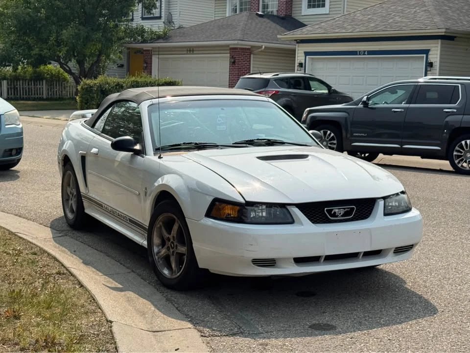 2001 Ford SN95 Mustang - Image 6 of 6