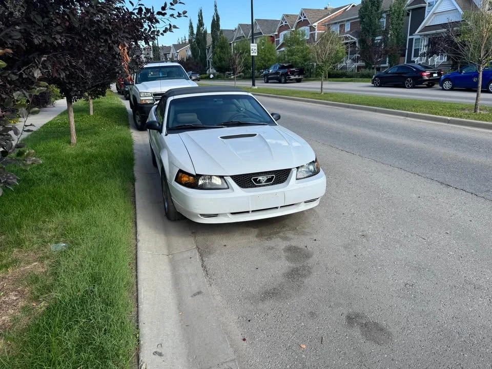 2001 Ford SN95 Mustang - Image 2 of 6