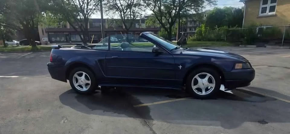 2001 Ford SN95 Mustang - Image 6 of 20
