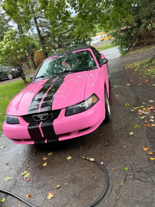 2001 Ford SN95 Mustang - Image 2 of 5