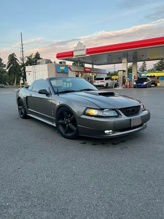 2001 Ford SN95 Mustang - Image 7 of 18