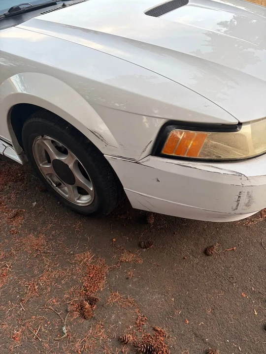 2001 Ford SN95 Mustang - Image 10 of 10