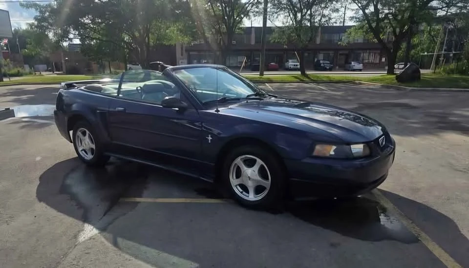 2001 Ford SN95 Mustang - Image 3 of 20