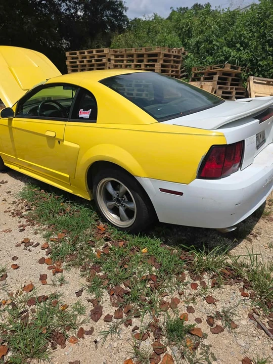 2001 Ford SN95 Mustang - Image 5 of 12