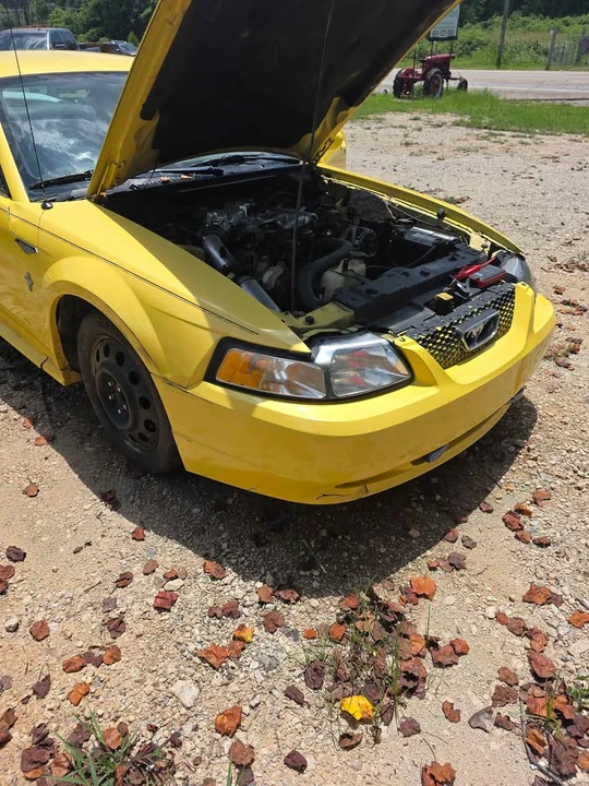 2001 Ford SN95 Mustang - Image 4 of 12