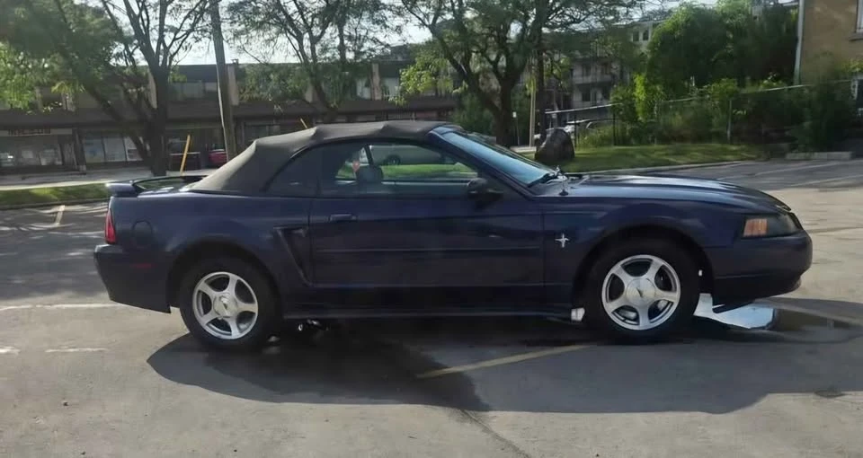 2001 Ford SN95 Mustang - Image 10 of 20