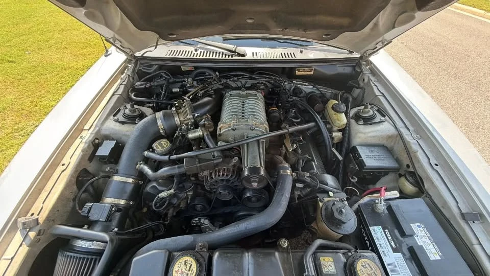 2001 Ford SN95 Mustang - Image 11 of 20