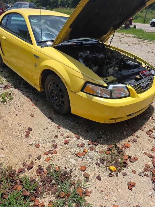 2001 Ford SN95 Mustang - Image 3 of 12
