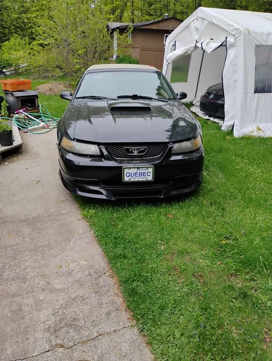 2001 Ford SN95 Mustang - Image 3 of 8