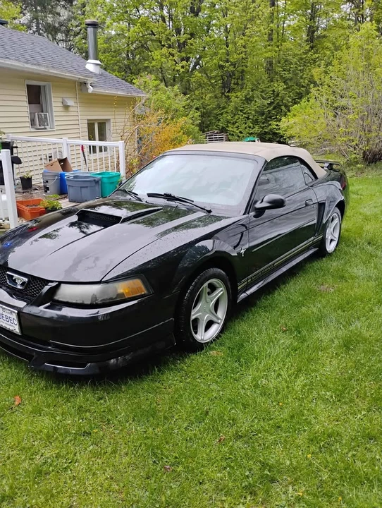 2001 Ford SN95 Mustang - Image 2 of 8