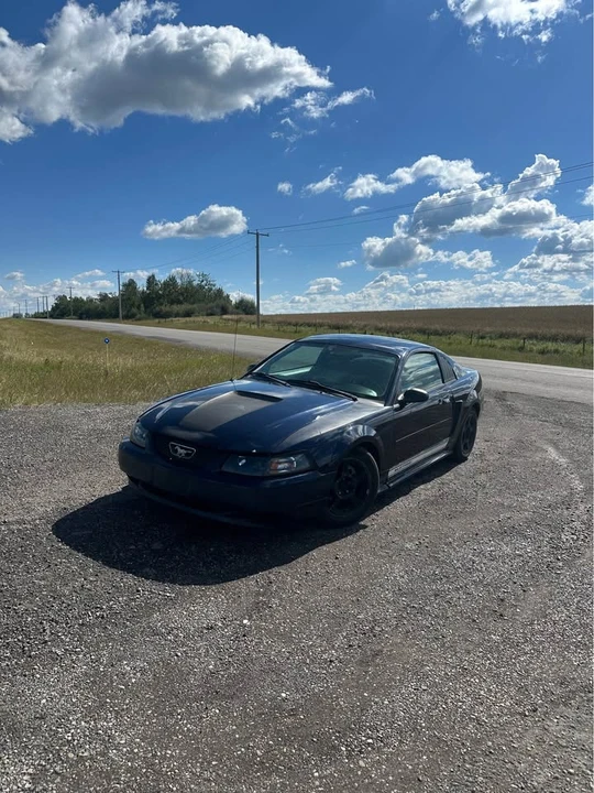 2001 Ford SN95 Mustang - Image 7 of 9