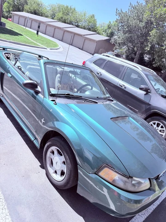 2001 Ford SN95 Mustang - Image 6 of 6
