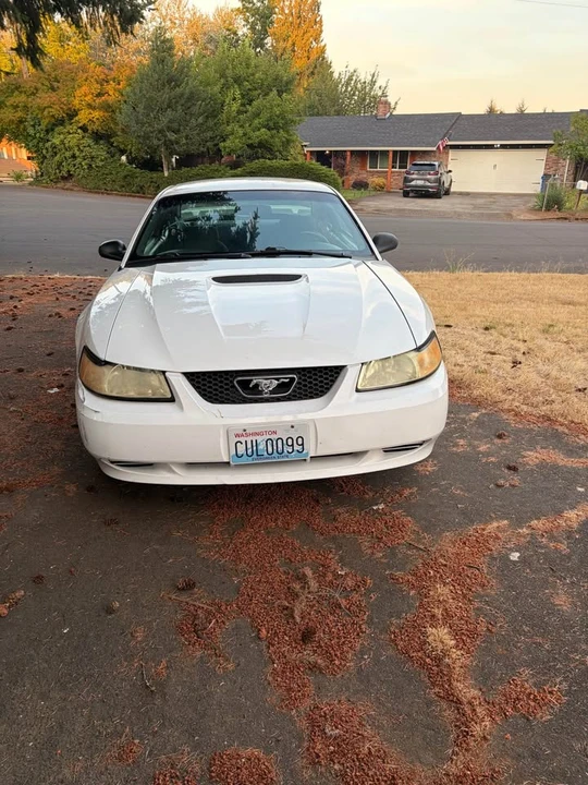 2001 Ford SN95 Mustang - Image 2 of 10