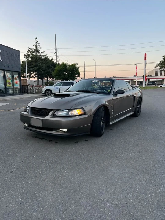 2001 Ford SN95 Mustang - Image 8 of 18