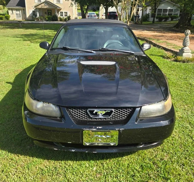 2001 Ford SN95 Mustang - Image 3 of 7