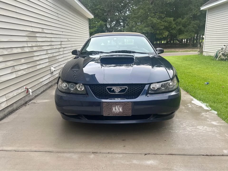 2001 Ford SN95 Mustang - Image 2 of 6