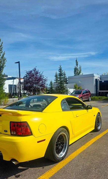 2001 Ford SN95 Mustang - Image 3 of 10