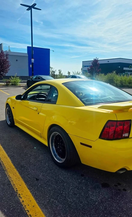 2001 Ford SN95 Mustang - Image 4 of 10