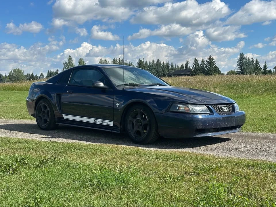 2001 Ford SN95 Mustang - Image 6 of 9