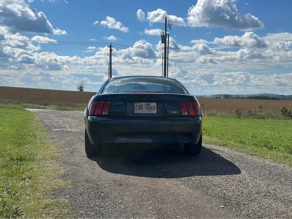 2001 Ford SN95 Mustang - Image 4 of 9